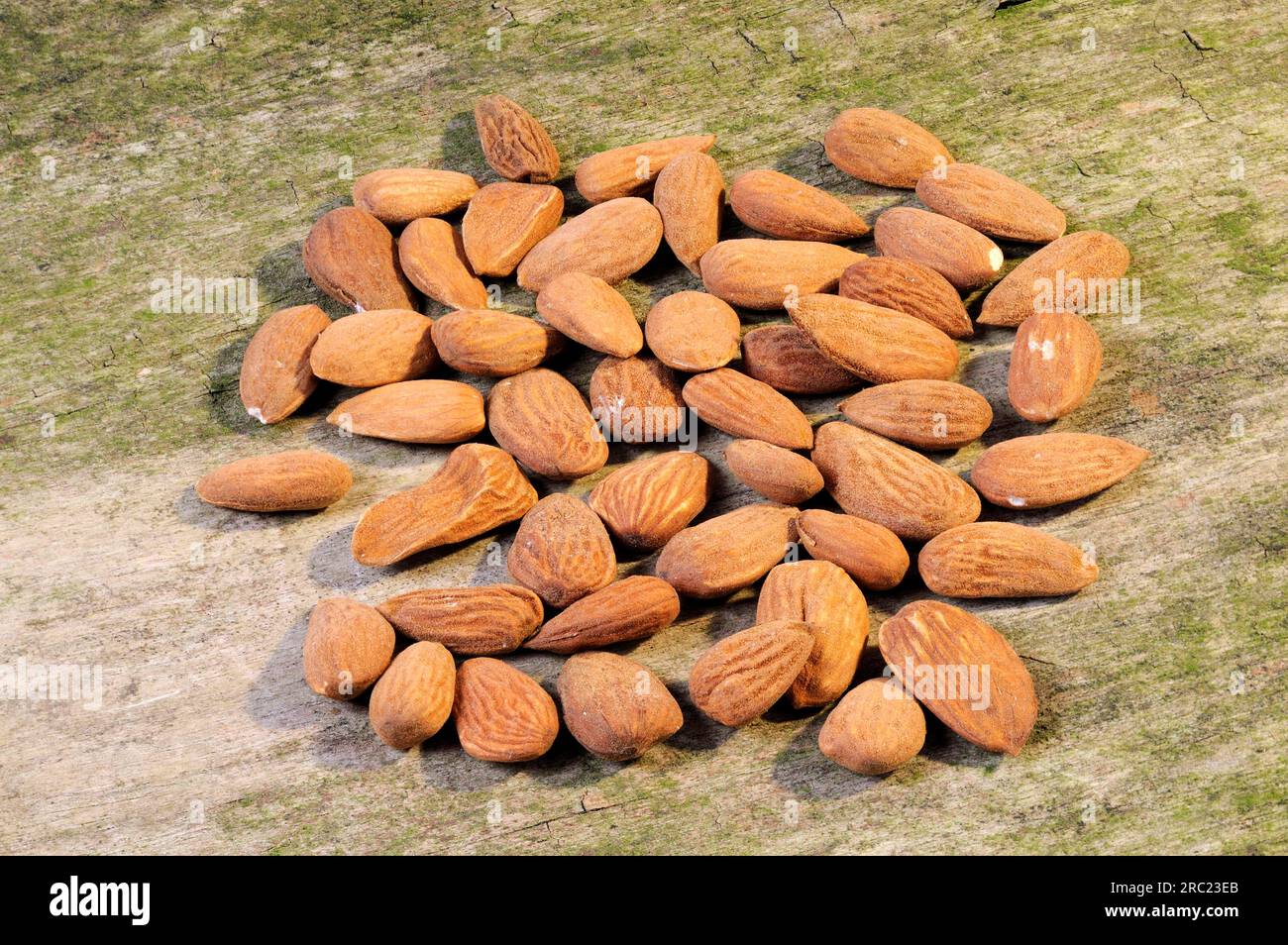 Bitter almonds (Prunus amygdalus amara Stock Photo Alamy