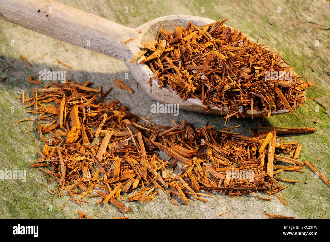Redwood, splinter (Lignum fernambuci), redwood tree, dyeing plant Stock