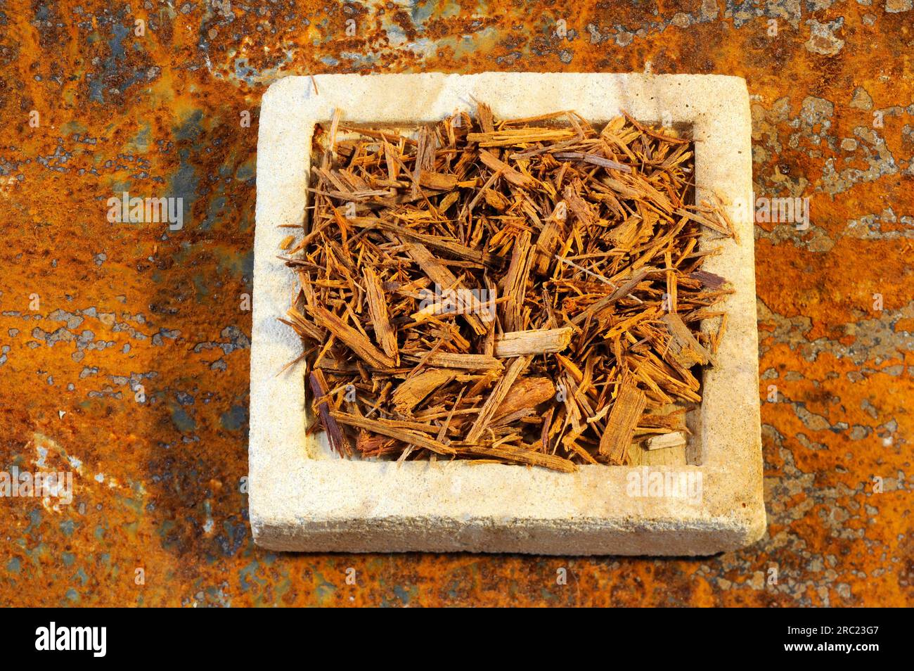 Redwood, splinter (Lignum fernambuci), redwood tree, dyeing plant Stock ...