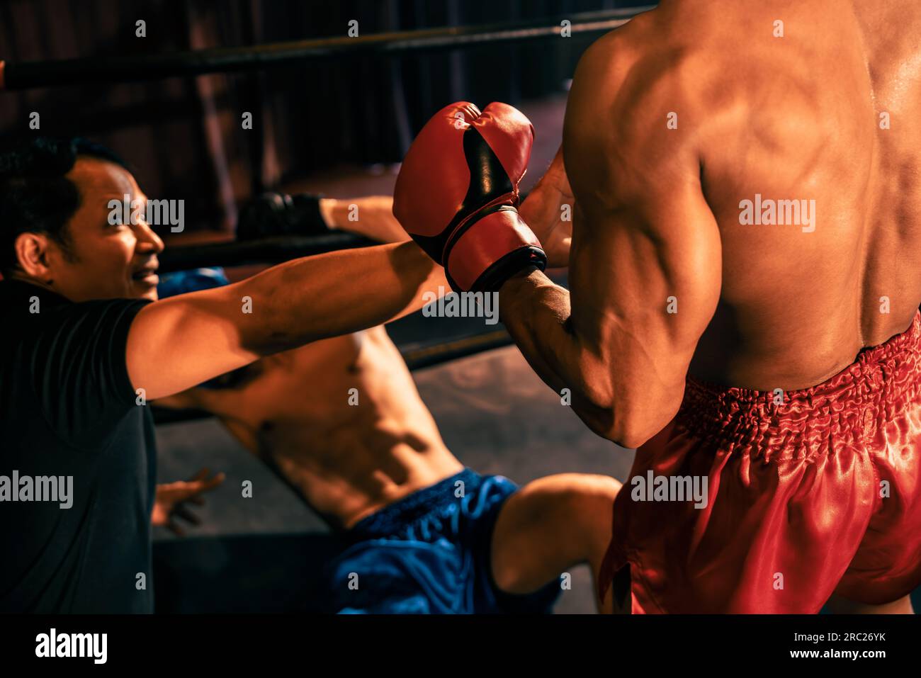 Boxing referee intervene, halting the fight to check fallen competitor