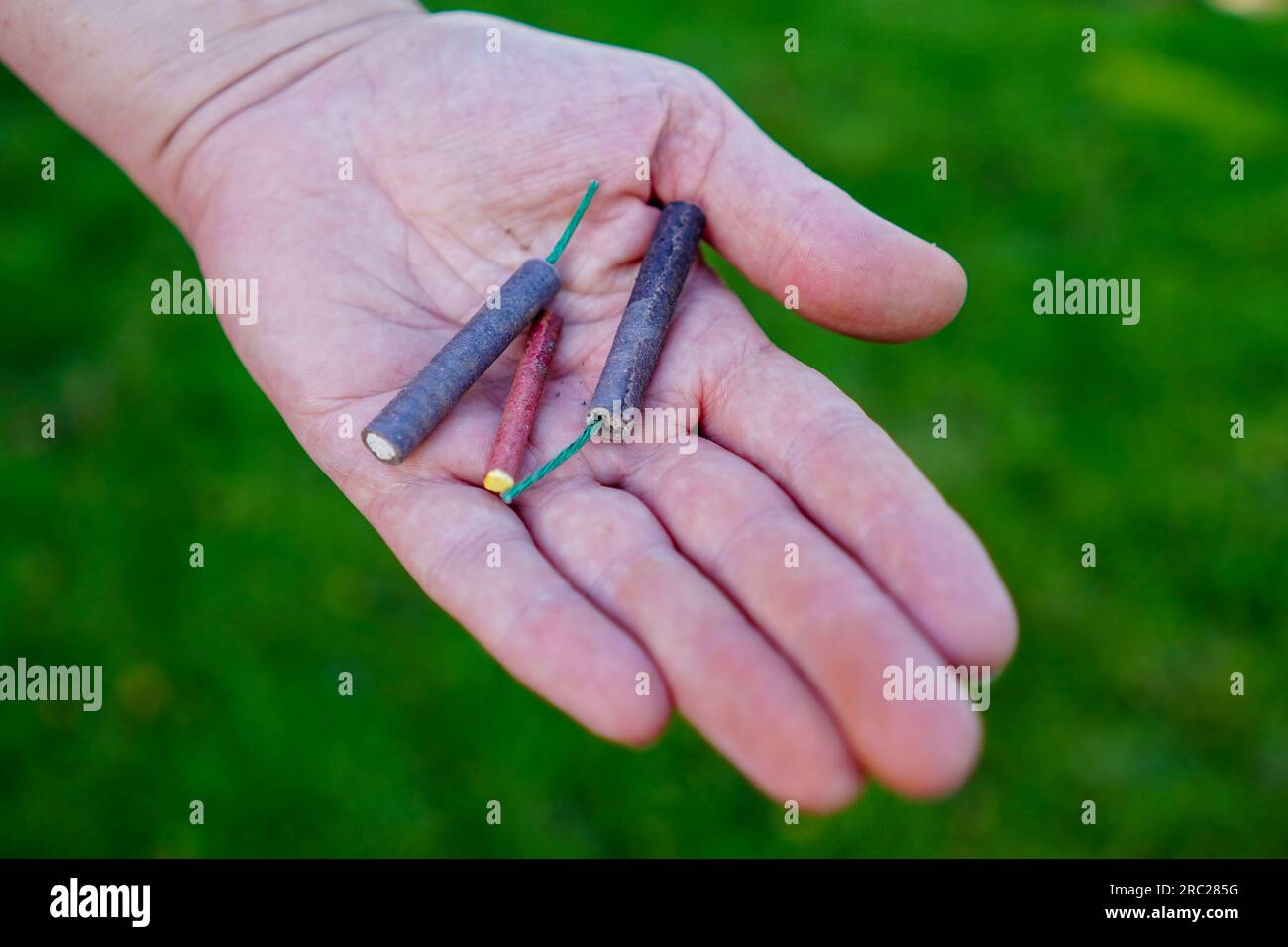 Firecrackers. Person holding firecrackers. Shooting firecrackers and fireworks. Stock Photo