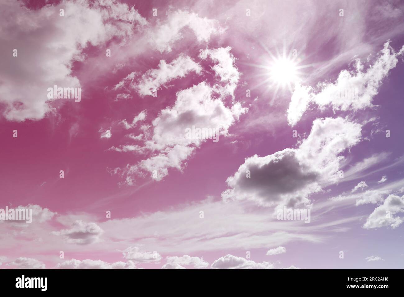 Amazing pink and purple sky with bright sun and fluffy clouds Stock ...