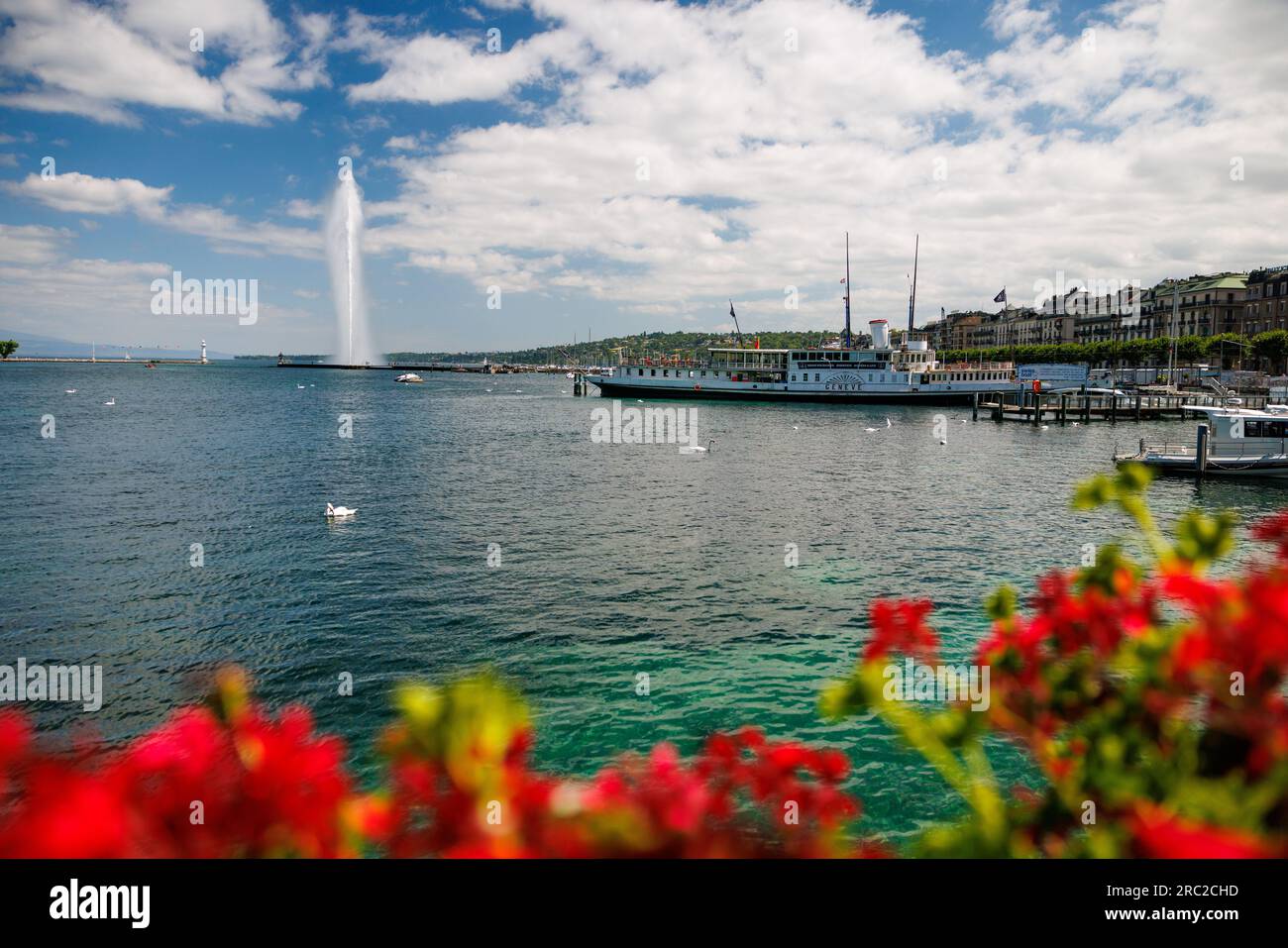 Jet D eau On A Beautiful Summer Day In Geneva Stock Photo Alamy Jet D eau On A Beautiful Summer Day In Geneva Stock Photo Alamy