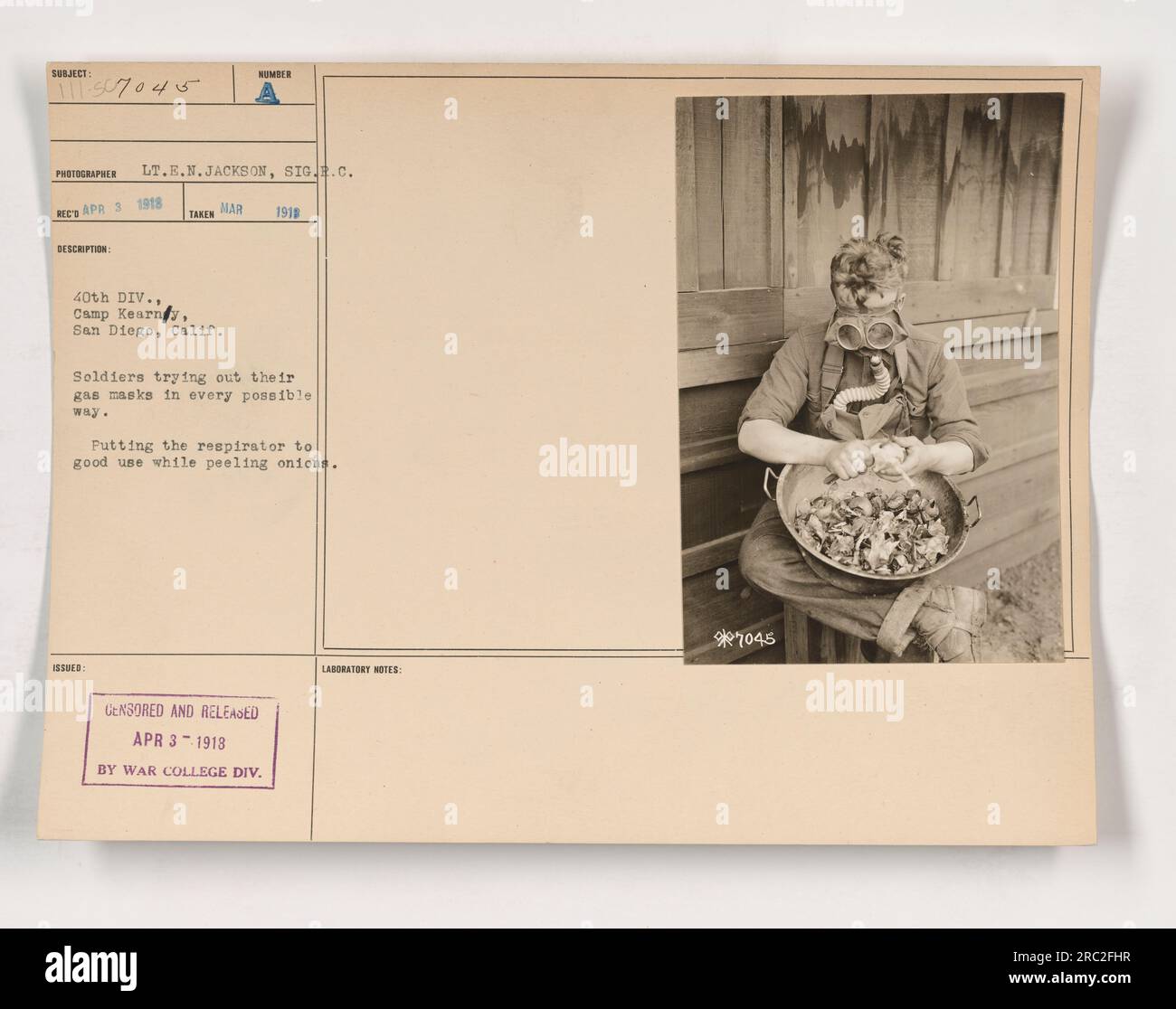 Soldiers from the 40th Division at Camp Kearny, San Diego, California, can be seen trying out their gas masks in various situations. This particular image shows a soldier utilizing the respirator while peeling onions, demonstrating its effectiveness against chemical warfare. The photograph was taken by Lt. E.N. Jackson of the Signal Corps on March 1918 and was issued with the number *7045. It was censored and released on April 3, 1918, by the War College Division. Stock Photo