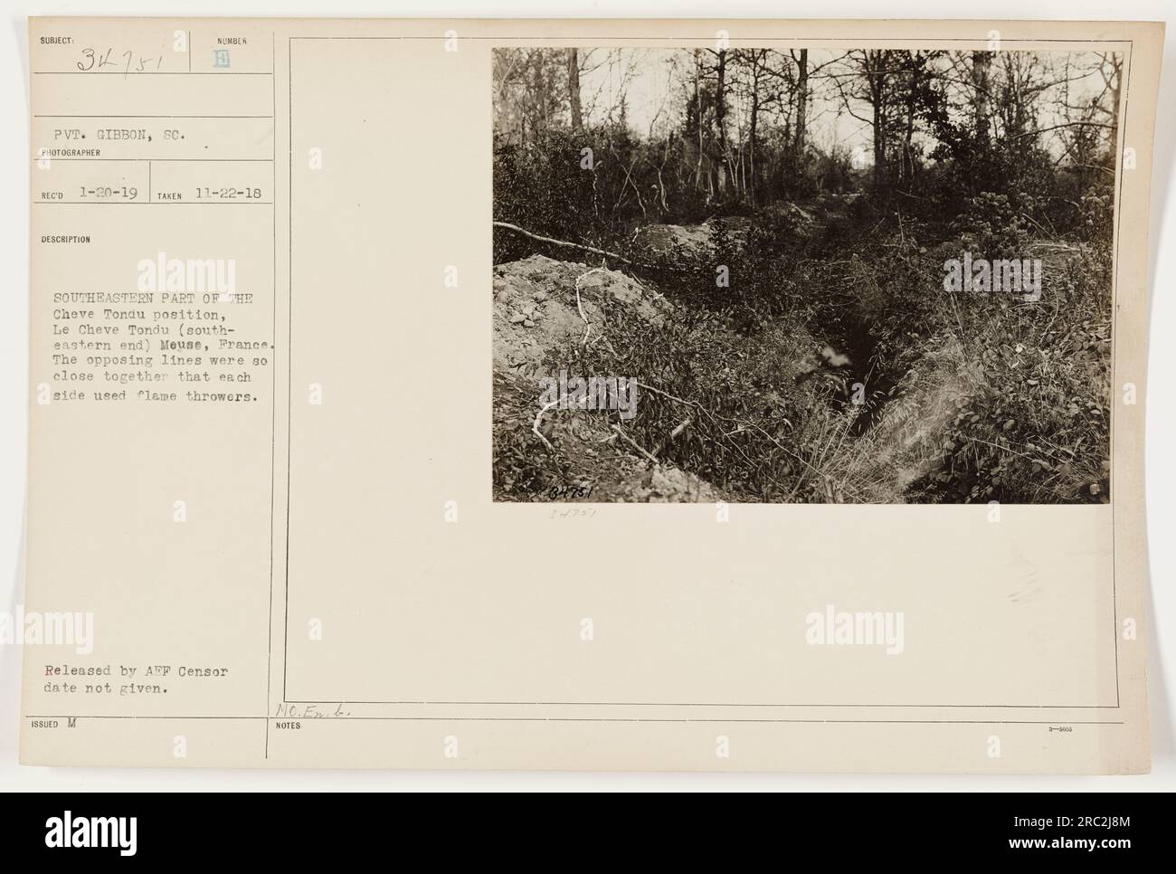 Alyssa Brody | Traded Profile, image size:1300x966