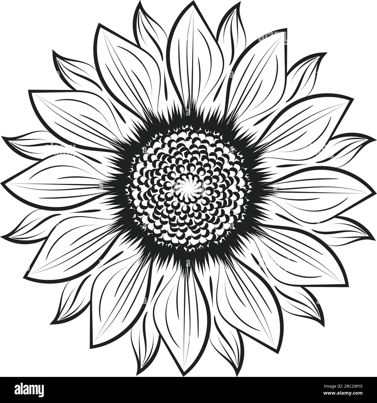 Sunflower Outline, Sunflower Line Art, Floral Line Drawing, black and