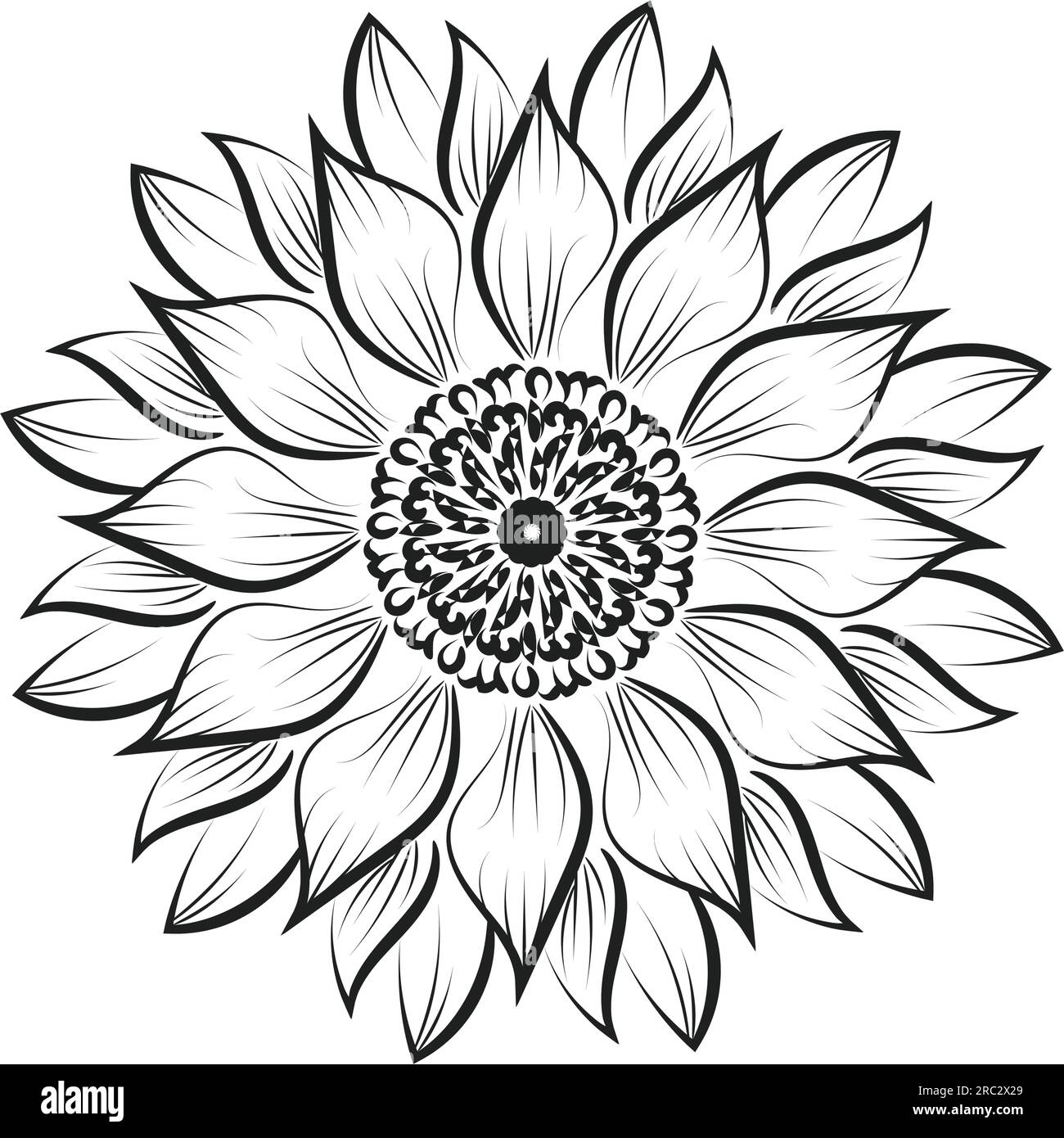 Sunflower Outline, Sunflower Line Art, Floral Line Drawing, black and ...