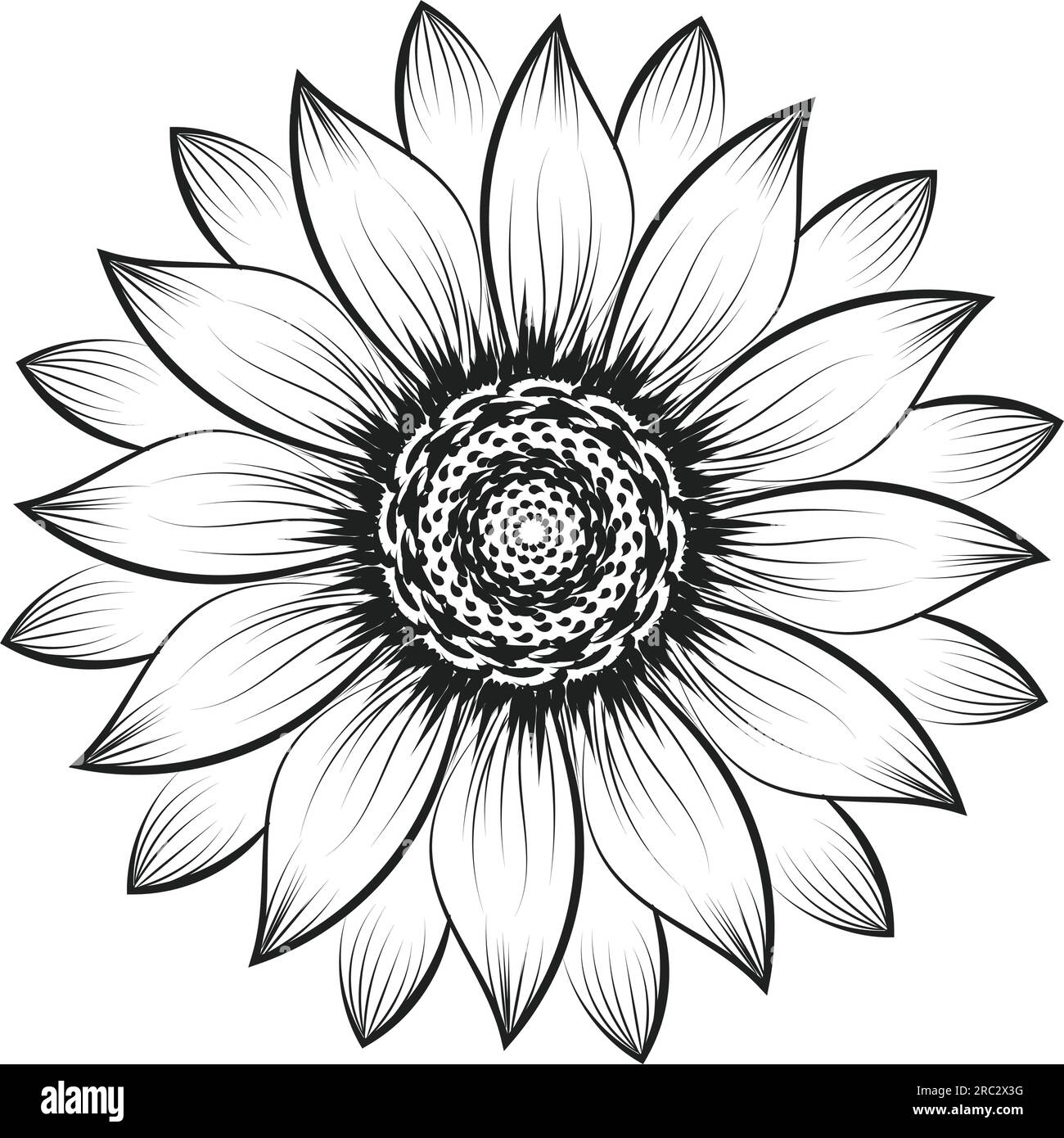 Sunflower Outline, Sunflower Line Art, Floral Line Drawing, black and ...