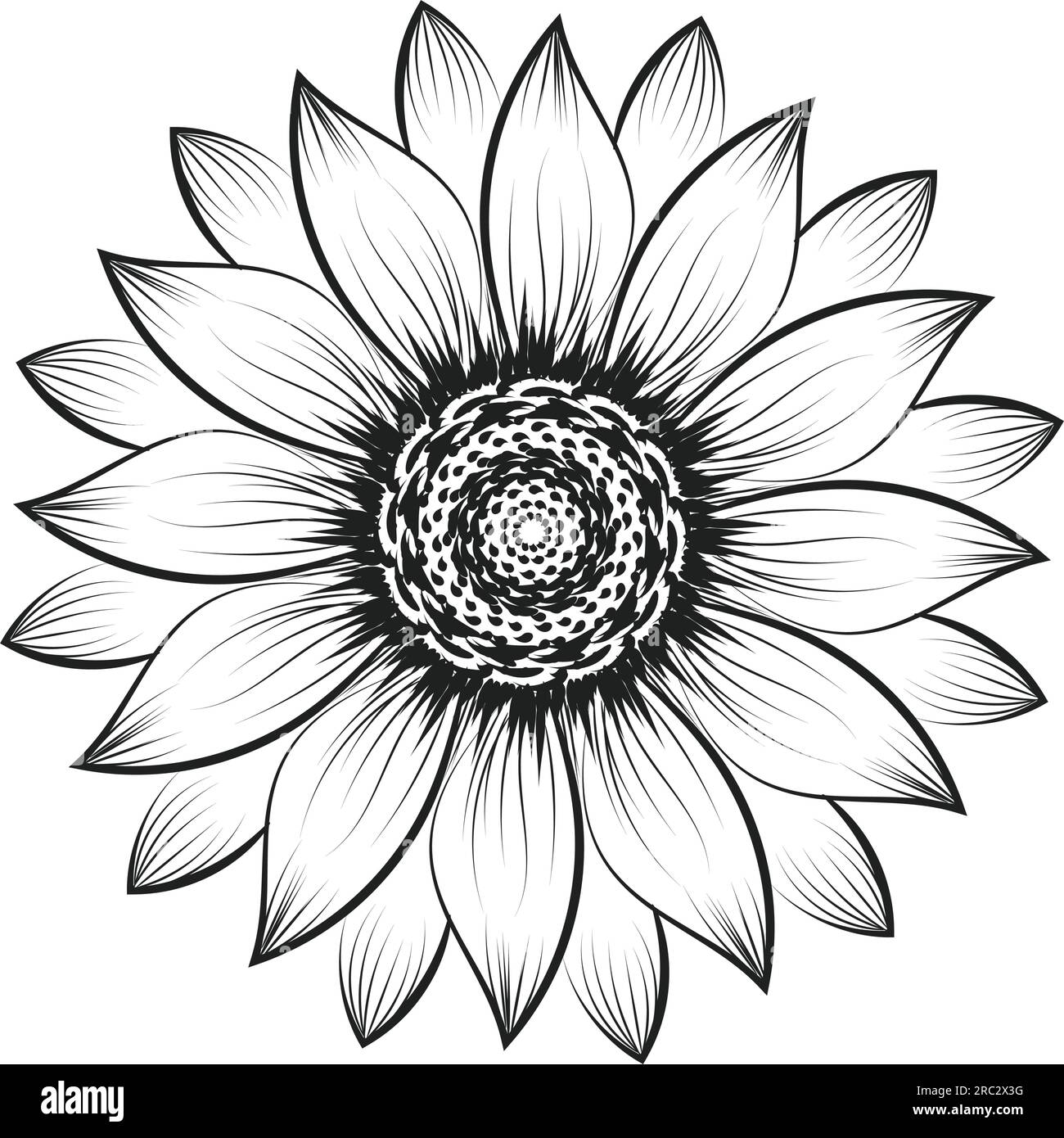 Sunflower Outline, Sunflower Line Art, Floral Line Drawing, black and