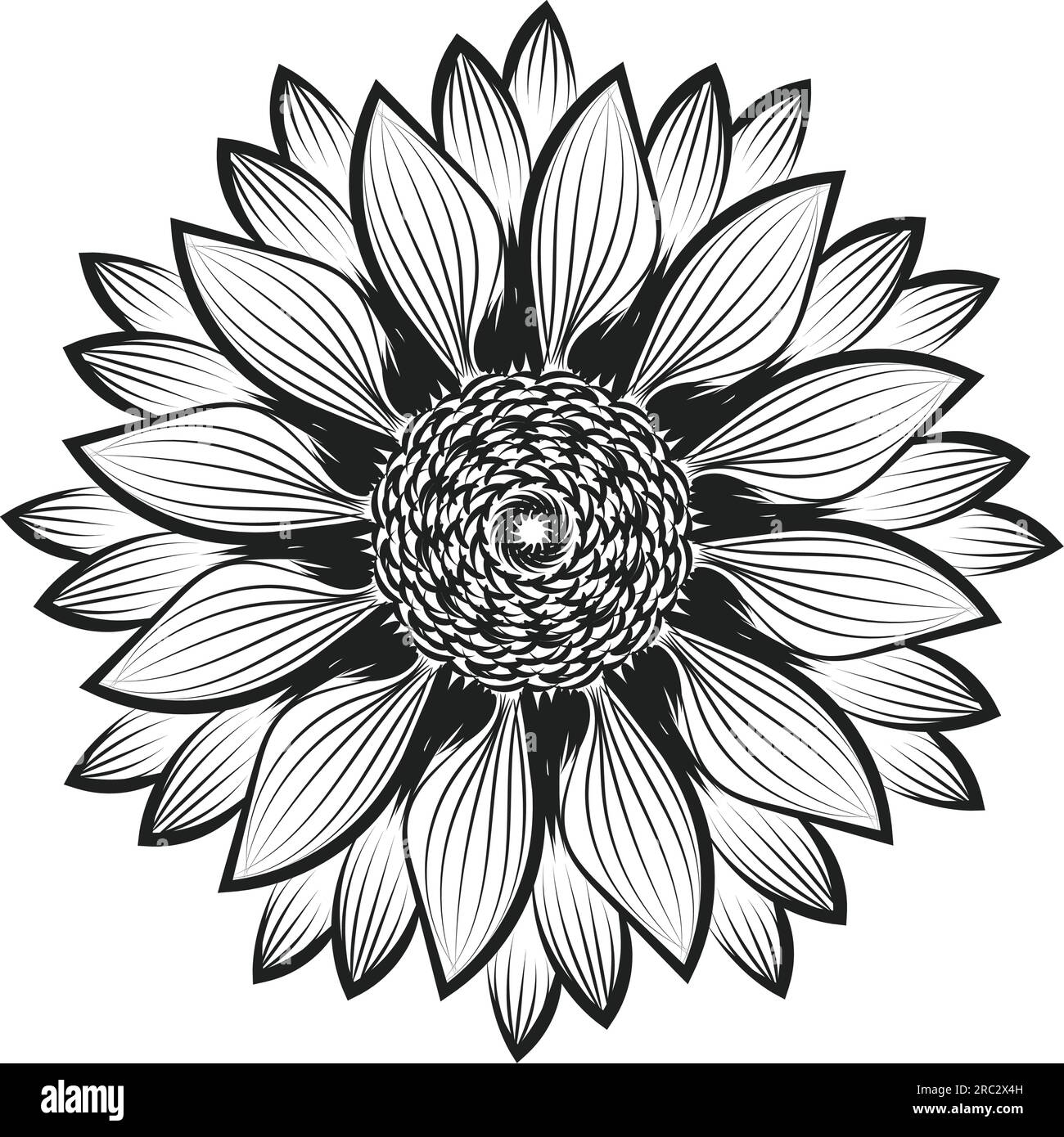Sunflower Outline, Sunflower Line Art, Floral Line Drawing, black and