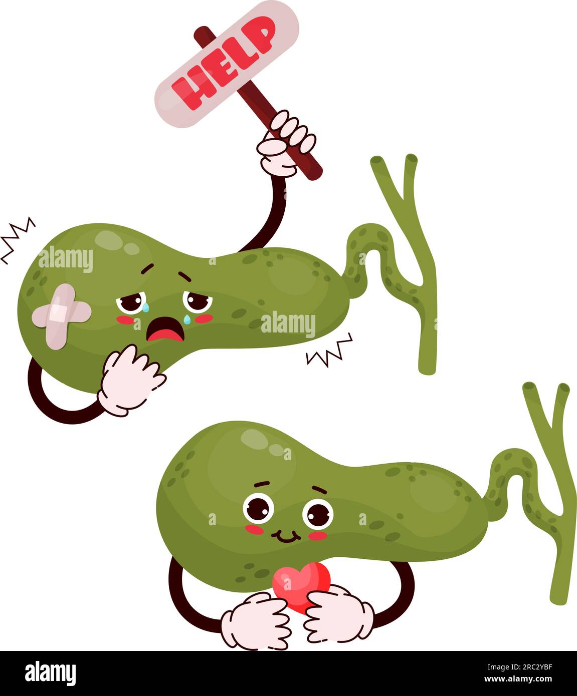 Cute cartoon character gallbladder. Human organ with different emotions. Happy and sad, cries and asks for help. Vector illustration. Concept health Stock Vector