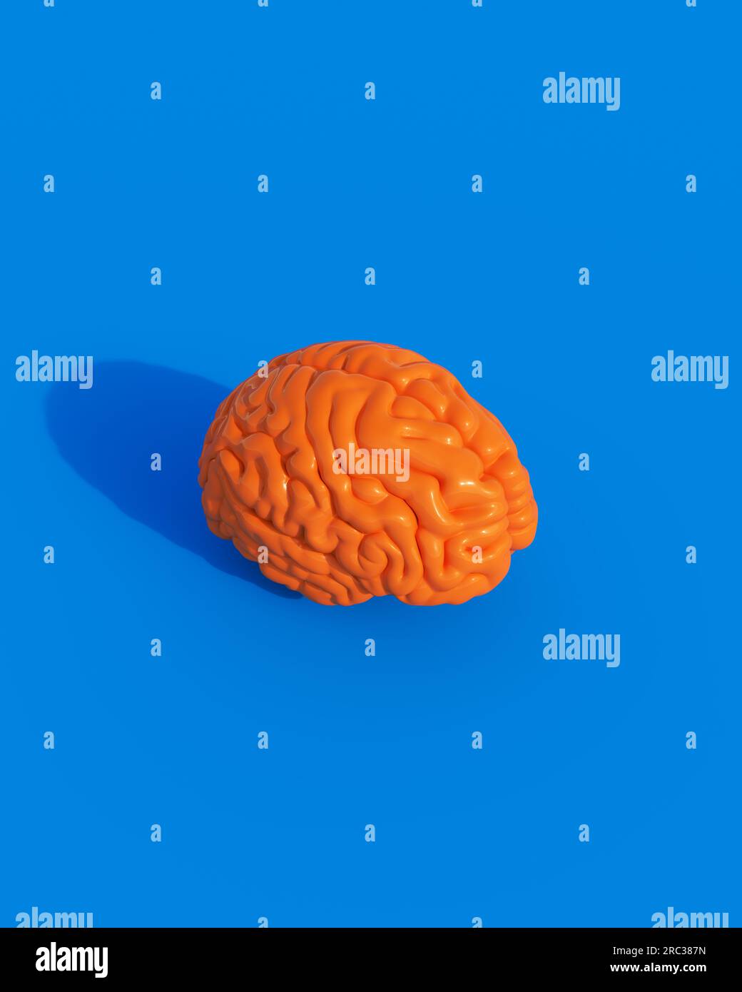 Human brain lobes and functions hi-res stock photography and images - Alamy