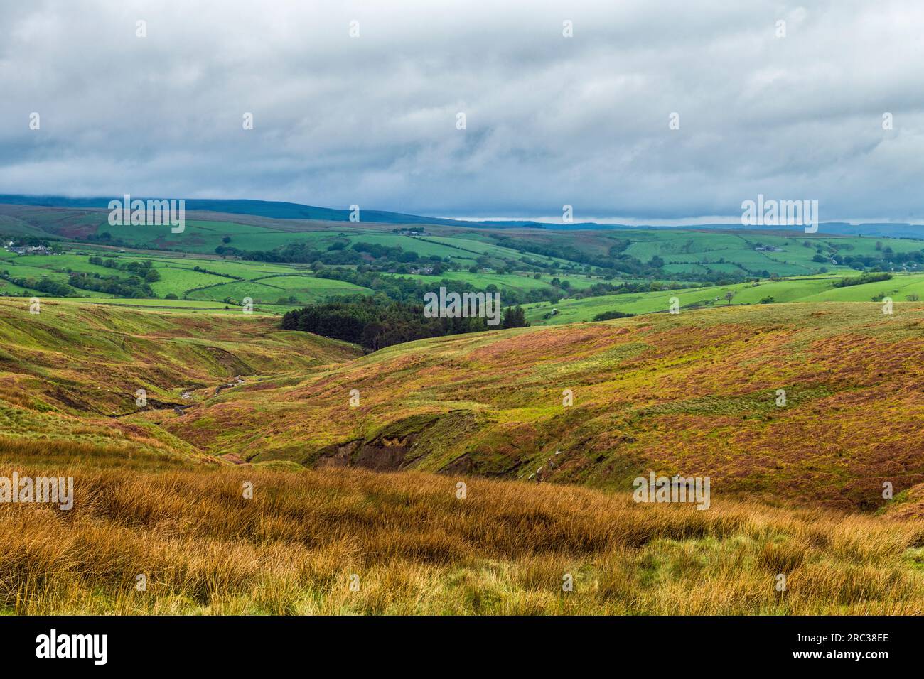 A wide landscape view across part of the Forest of Bowland in Lancashire from wild heath to fields and trees. Lancashire and Yorkshire share Bowland Stock Photo