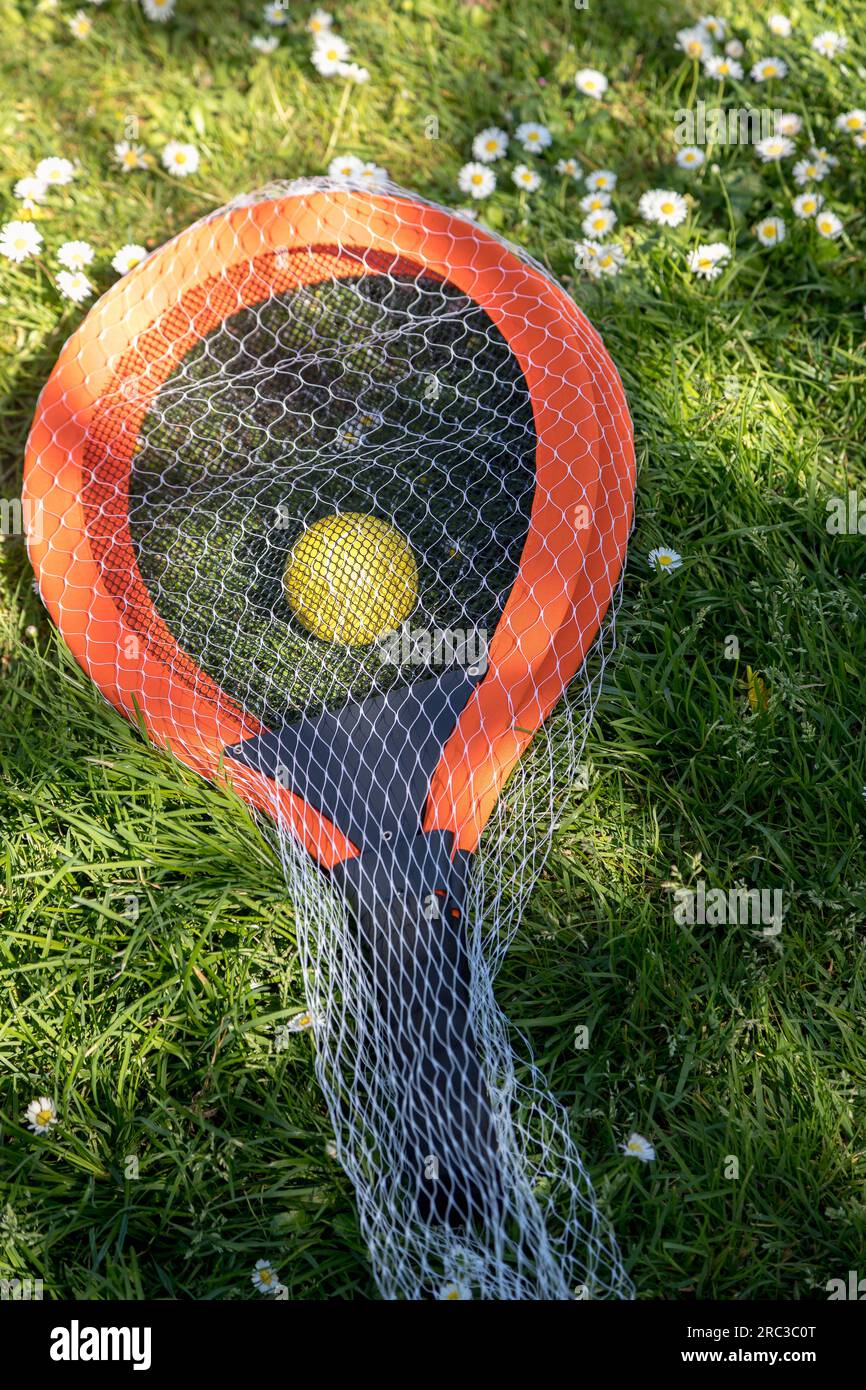 Image of tennis rackets and ball on a green field on a very sunny day ...