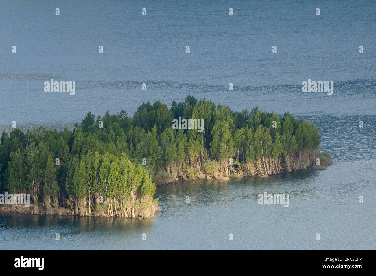 Island in the middle of the Riaño reservoir Stock Photo
