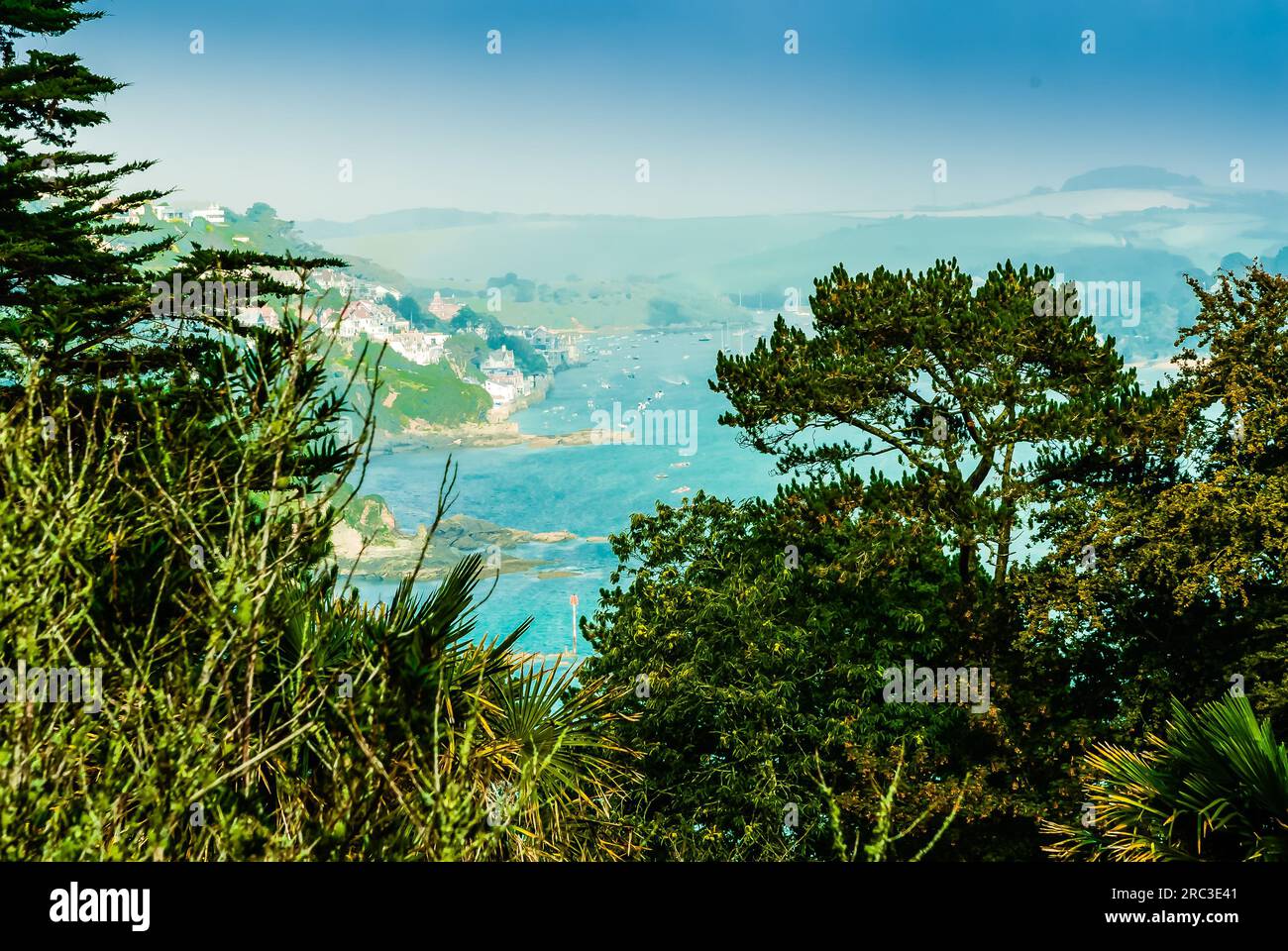 Overbeck's Garden in Devon on a misty day. Stock Photo