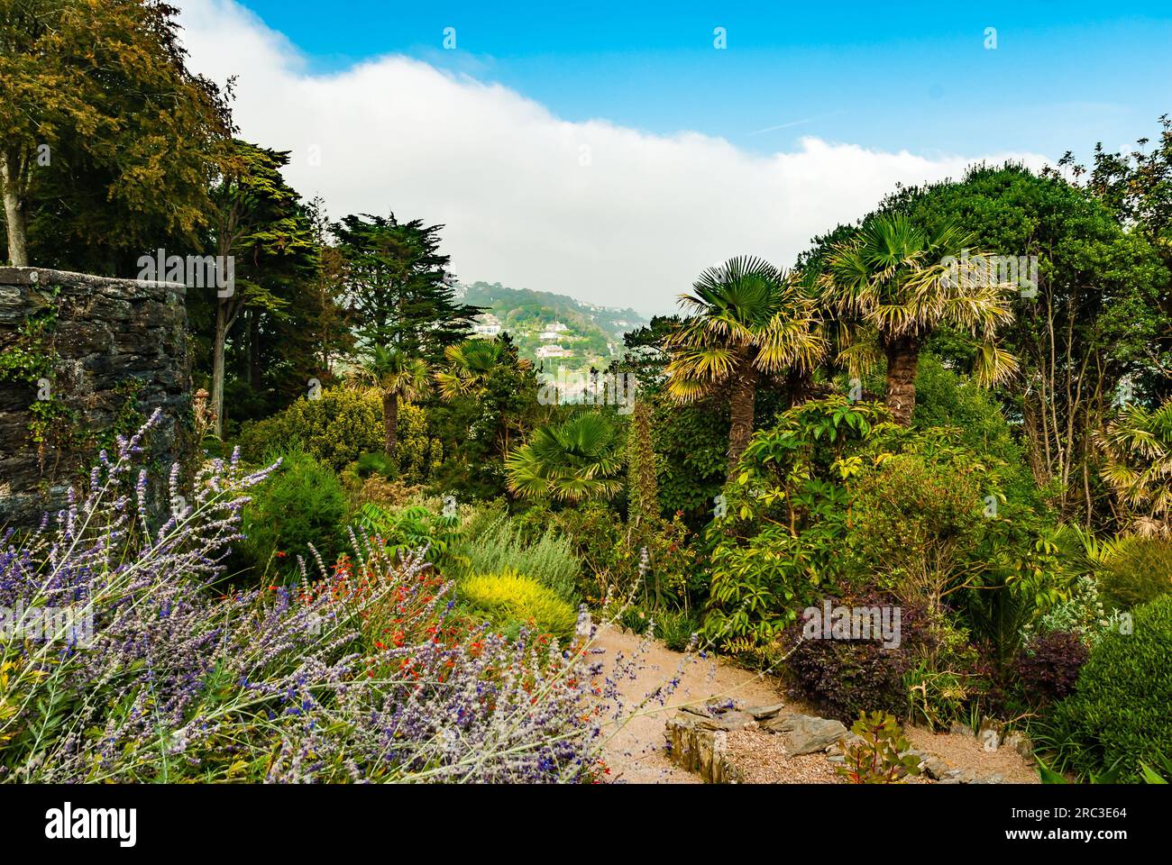 Overbeck's Garden in Devon with its exotic and rare plants. Stock Photo