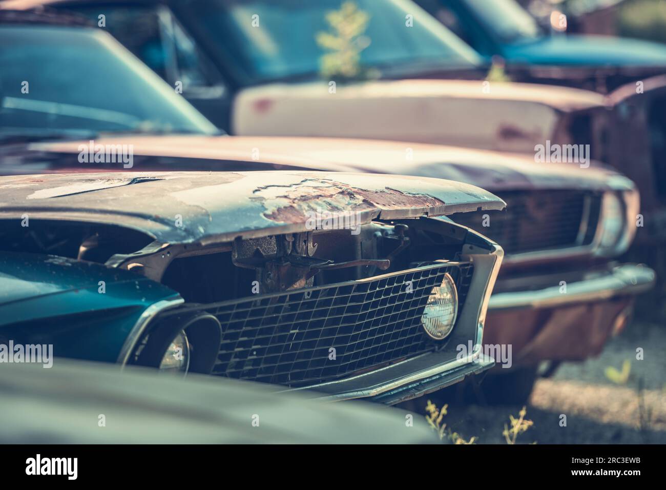 American junk yard hi-res stock photography and images - Alamy