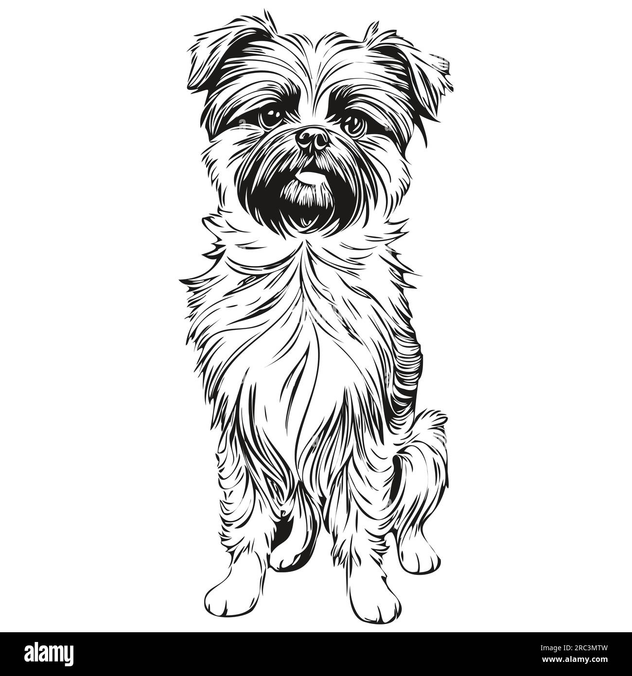 Affenpinscher dog black drawing vector, isolated face painting sketch ...