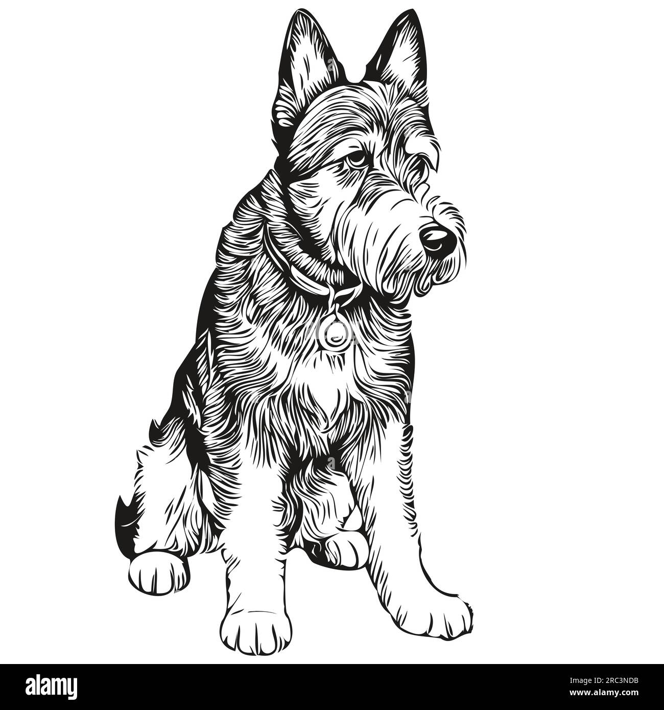 Airedale Terrier dog engraved vector portrait, face cartoon vintage