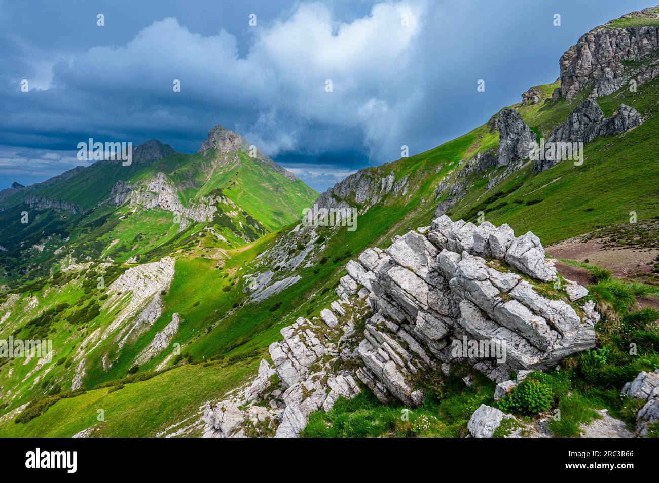 Summer Landscape Of The Belianske Tatras Tatra National Park Slovakia summer-landscape-of-the-belianske-tatras-tatra-national-park-slovakia