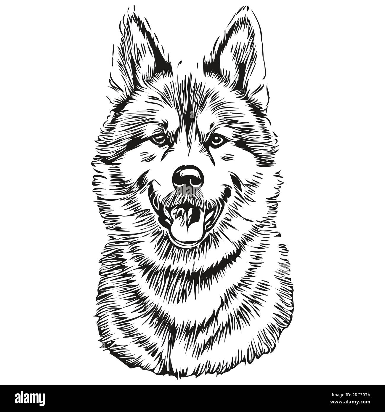 Akita dog face vector portrait, funny outline pet illustration white background sketch drawing
