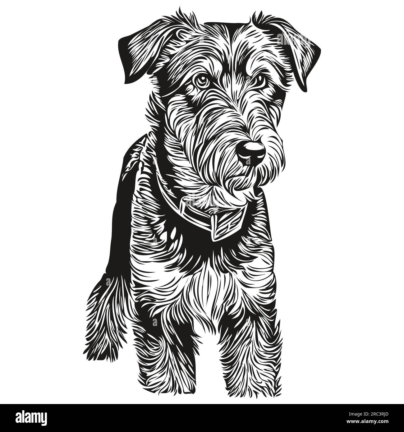 Airedale Terrier dog realistic pet illustration, hand drawing face