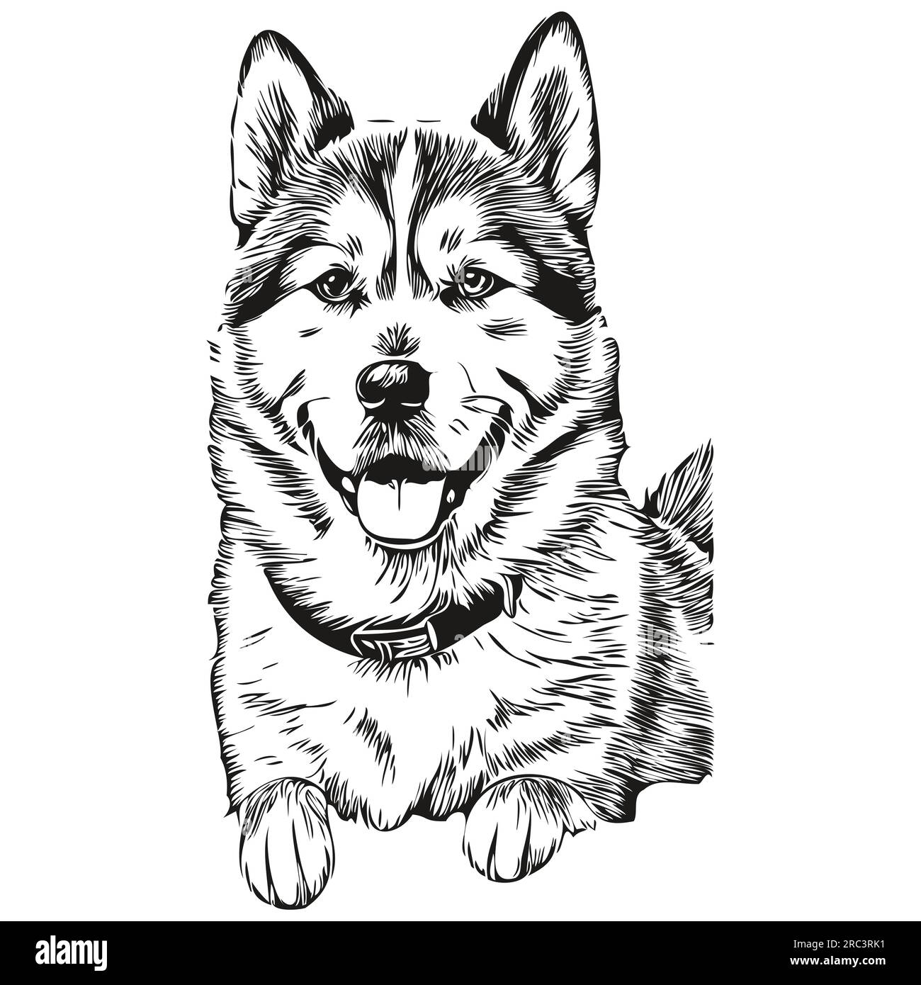 Akita dog pet sketch illustration, black and white engraving vector