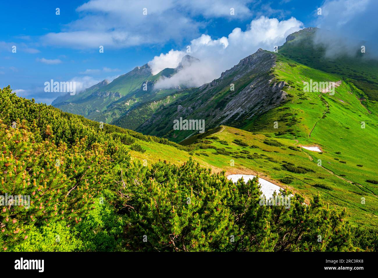 Summer Landscape Of The Belianske Tatras Tatra National Park Slovakia summer-landscape-of-the-belianske-tatras-tatra-national-park-slovakia
