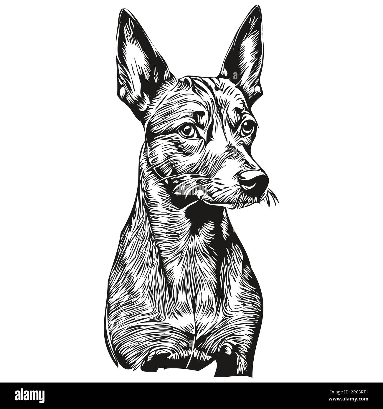 American Hairless Terrier dog silhouette pet character, clip art vector