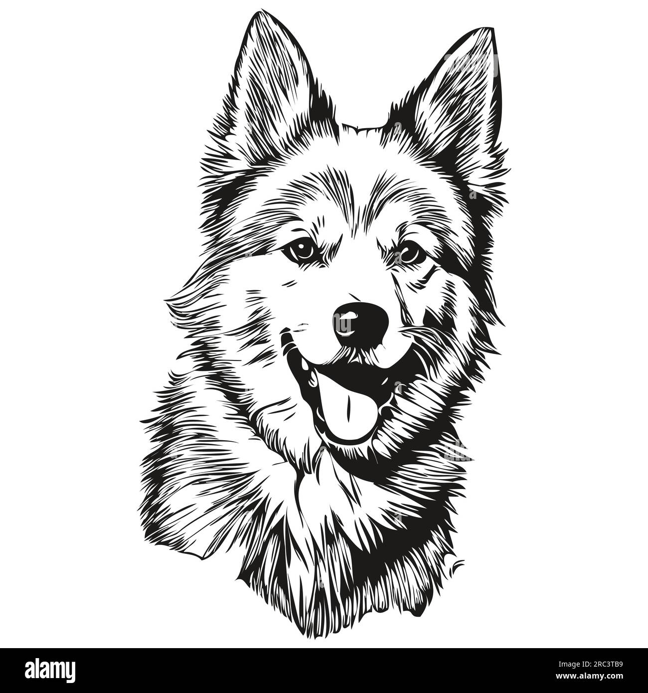 American Eskimo dog pet silhouette, animal line illustration hand drawn ...