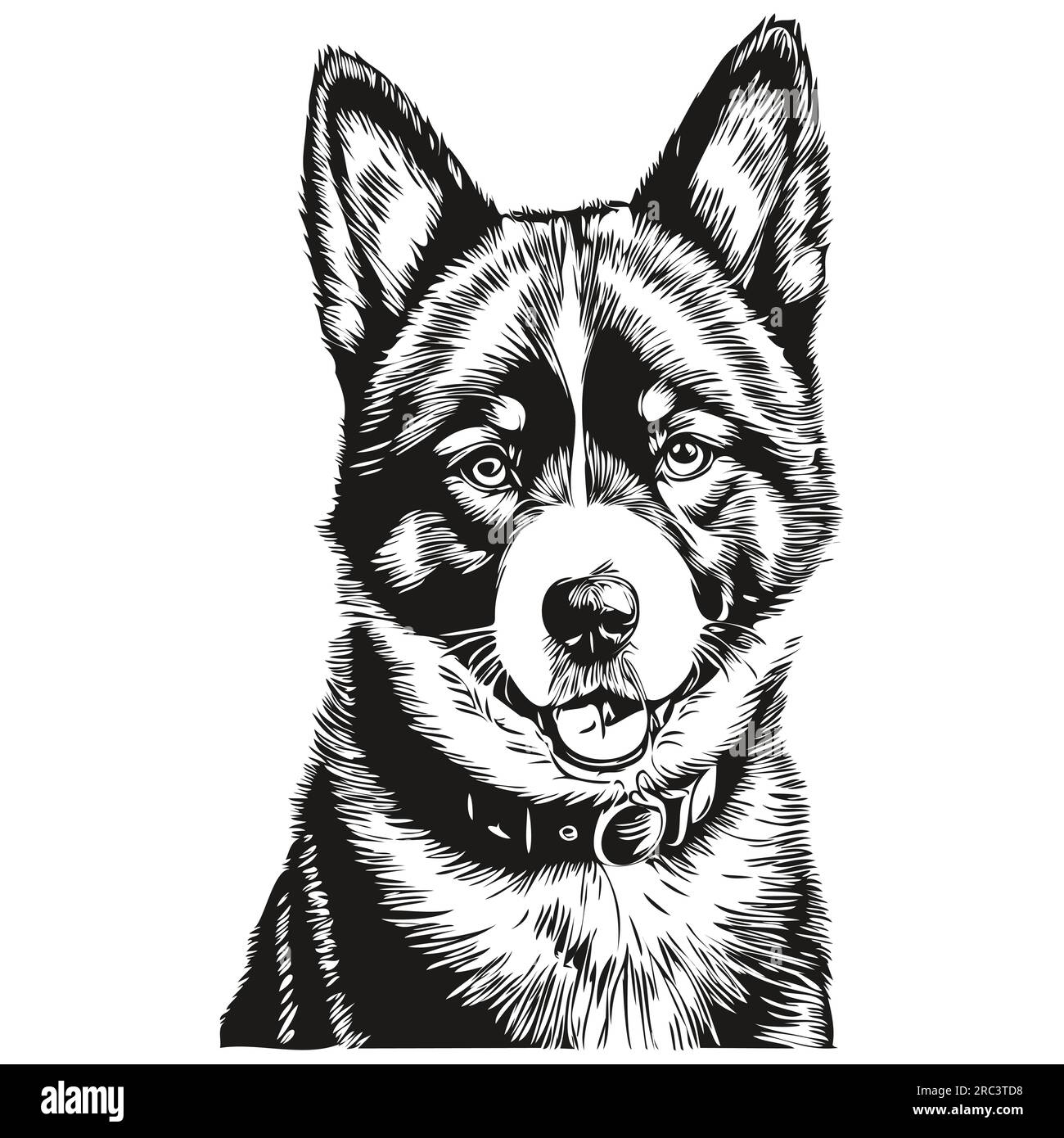 Akita dog pencil hand drawing vector, outline illustration pet face