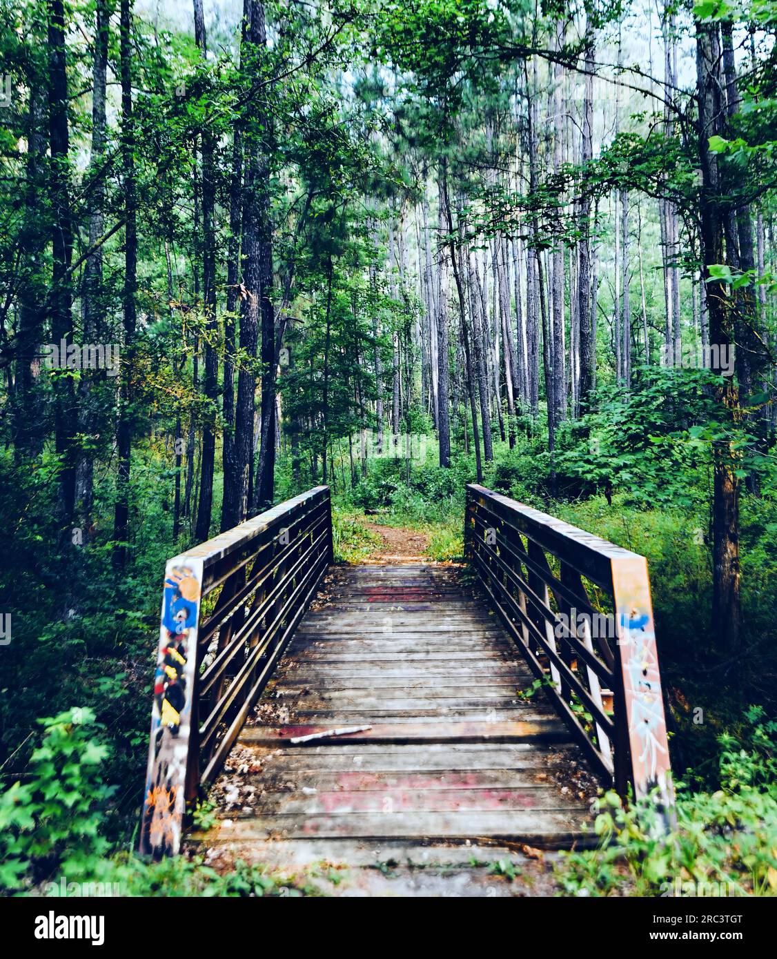 Bridge woods hi-res stock photography and images - Alamy