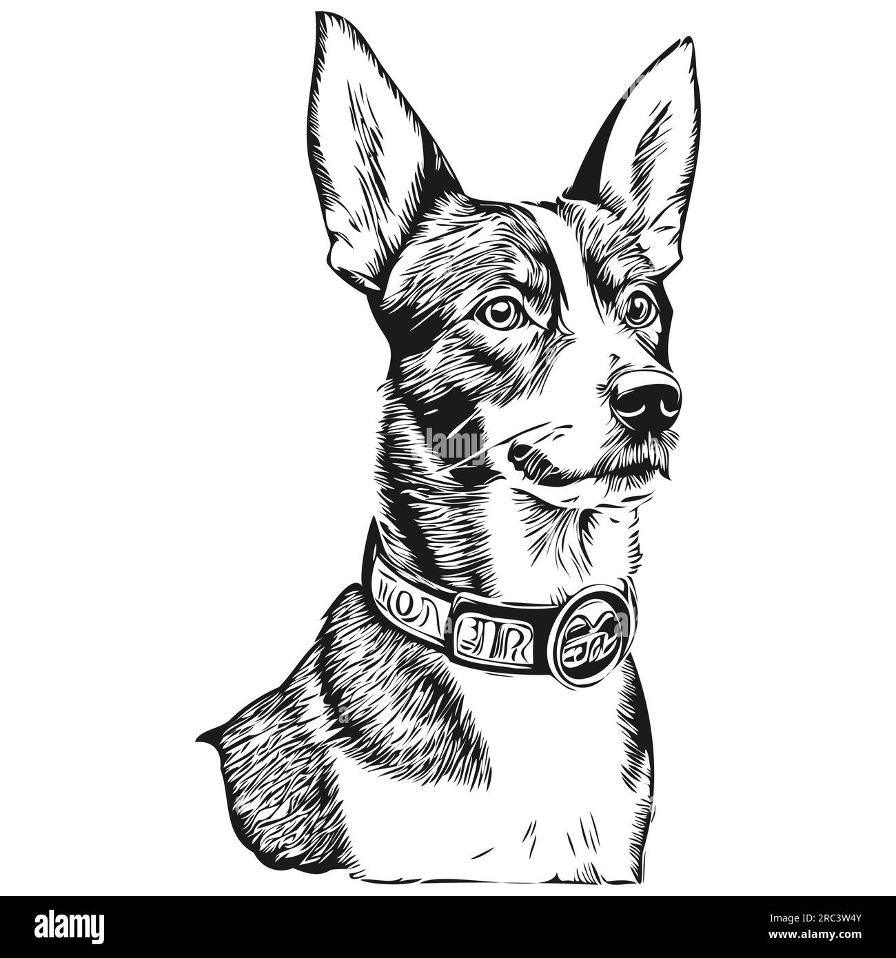 Basenji dog face vector portrait, funny outline pet illustration white ...