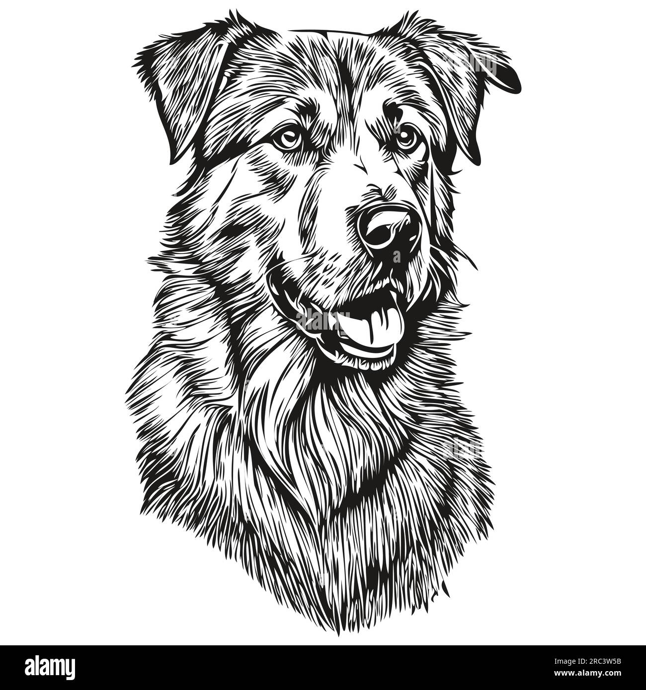 Anatolian Shepherd dog vector graphics, hand drawn pencil animal line illustration Stock Vector