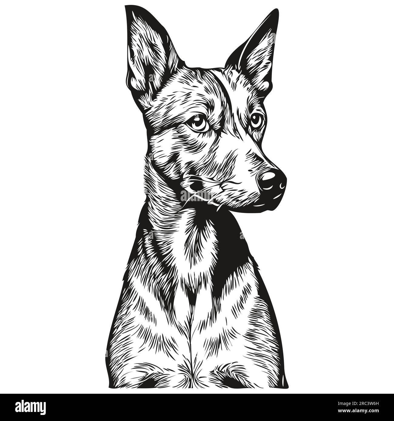 American Hairless Terrier dog pencil hand drawing vector, outline ...