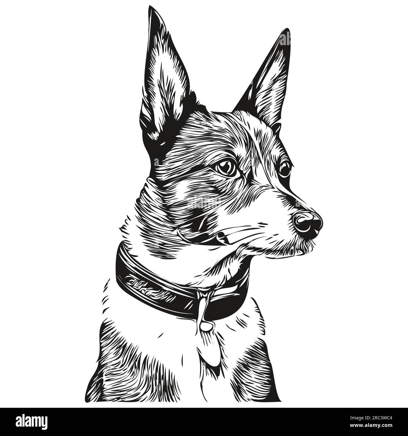 Basenji dog pet sketch illustration, black and white engraving vector ...