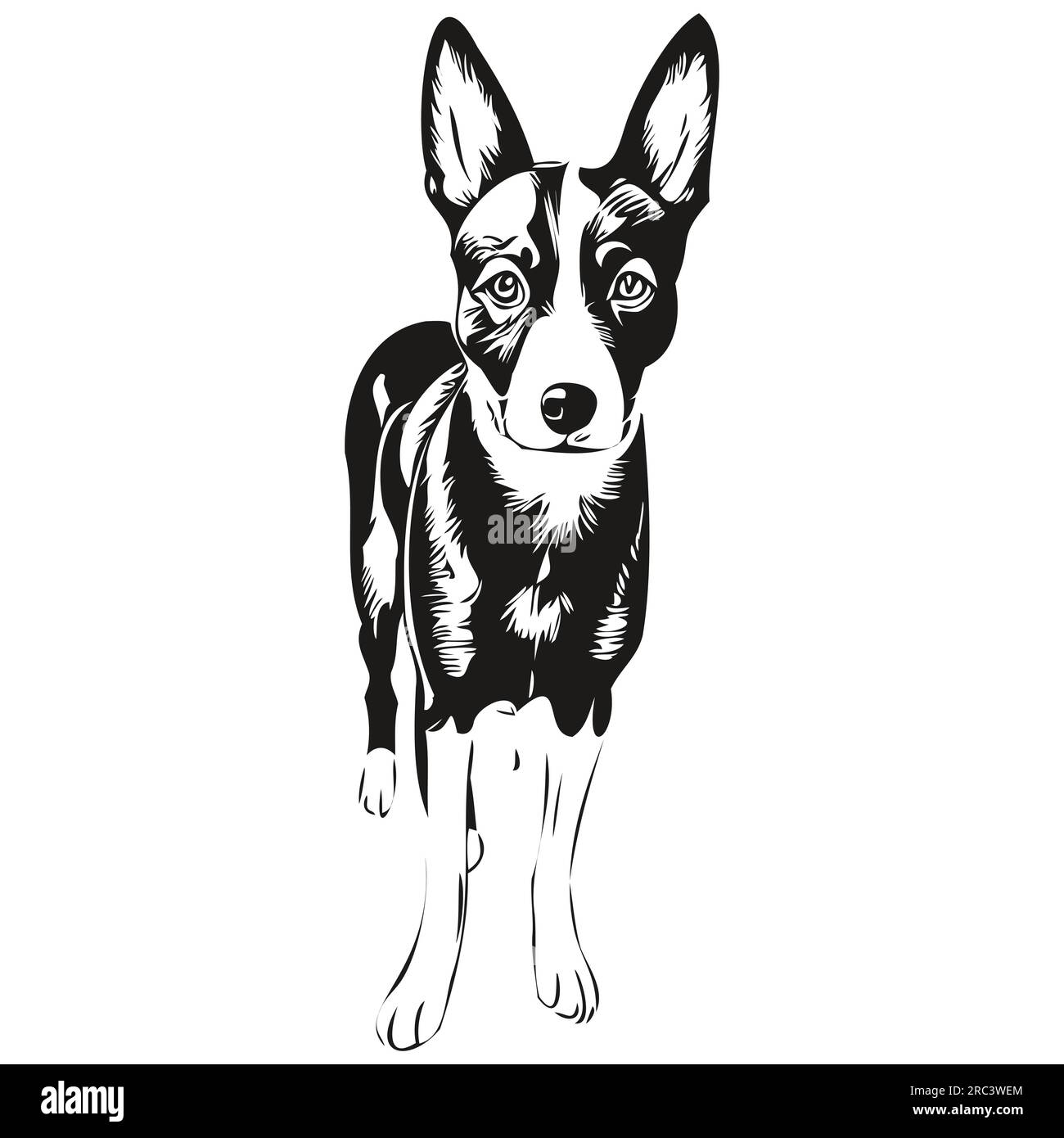 basenji-dog-vector-face-drawing-portrait-sketch-vintage-style-transparent-background-2RC3WEM.jpg