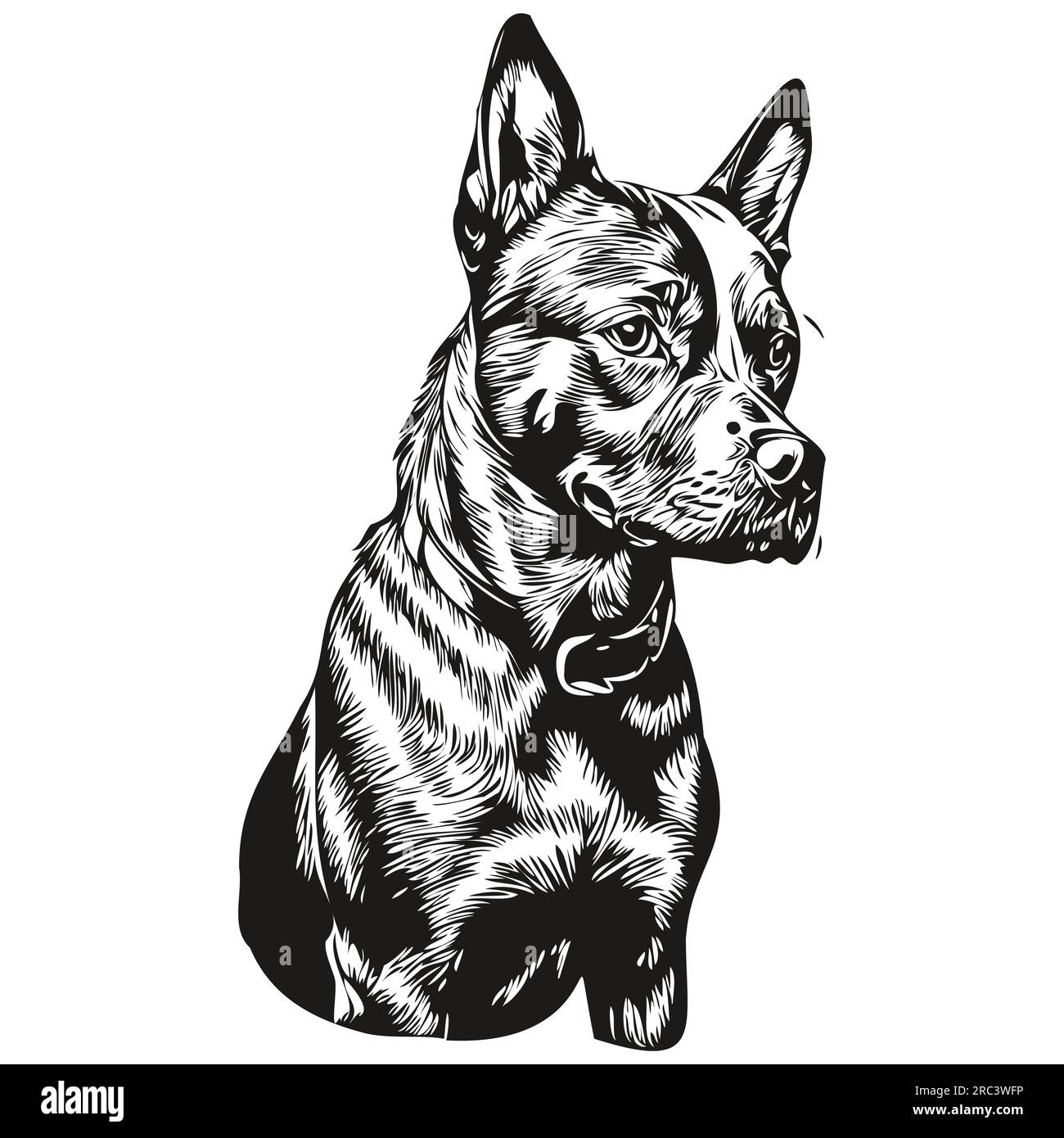 American Staffordshire Terrier dog face vector portrait, funny outline pet illustration white