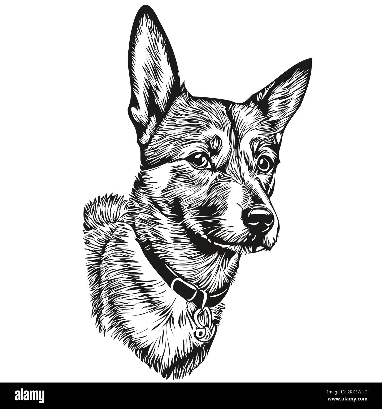 Basenji dog vector face drawing portrait, sketch vintage style ...