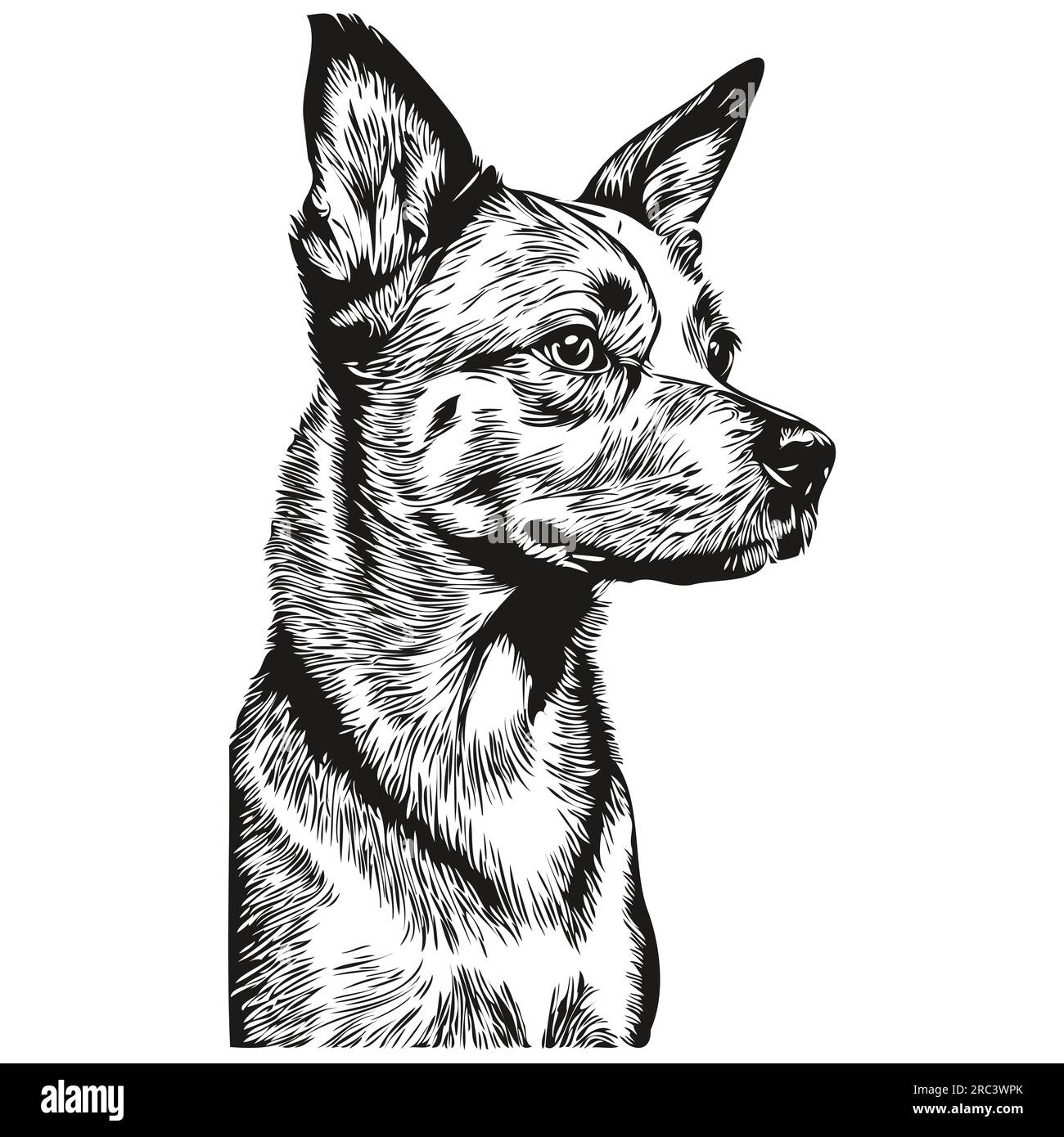 American Hairless Terrier dog breed line drawing, clip art animal hand ...