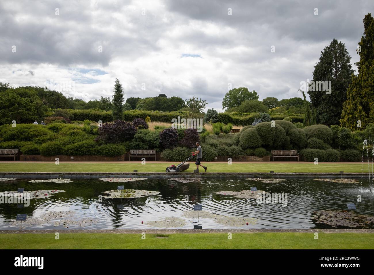 A gardener mows the lawn surrounding the water lily pond, Jellicoe Canal, in the grounds of RHS Wisley, Surrey, England, United Kingdom Stock Photo