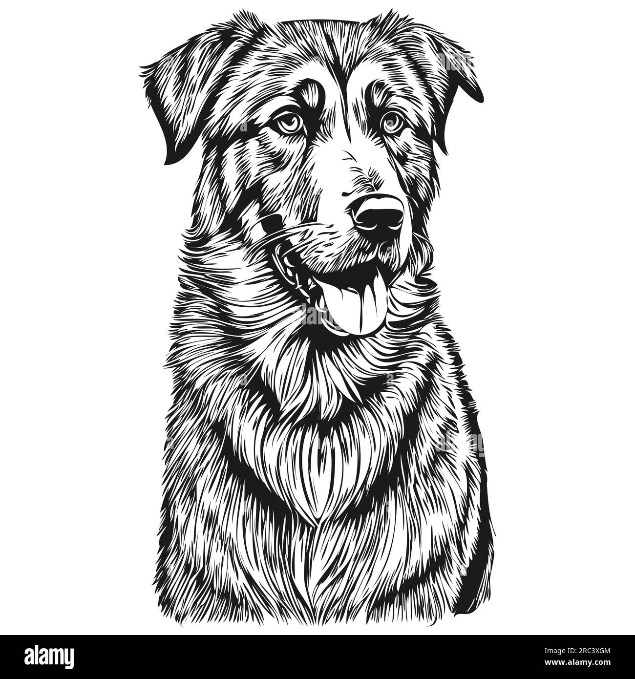 Anatolian Shepherd dog pet sketch illustration, black and white engraving vector Stock Vector