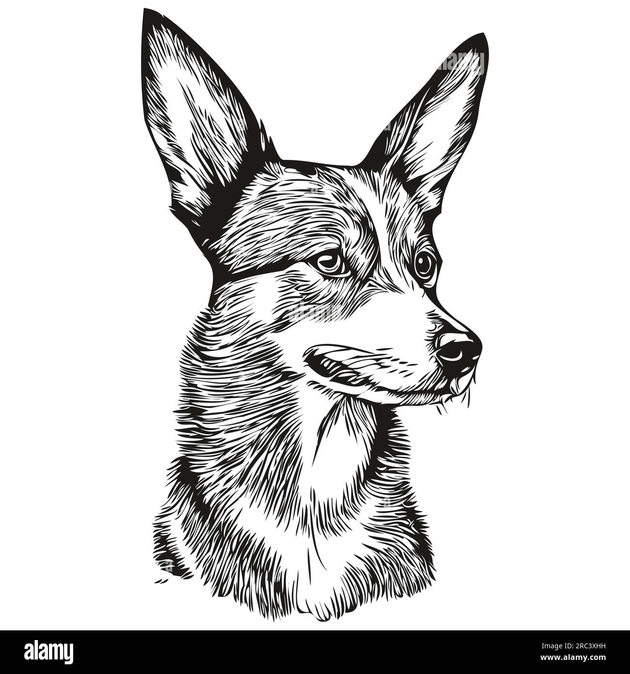 Basenji dog isolated drawing on white background, head pet line ...