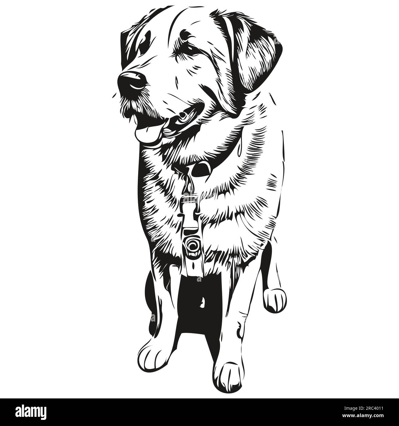 Anatolian Shepherd dog realistic pet illustration, hand drawing face black and white vector Stock Vector