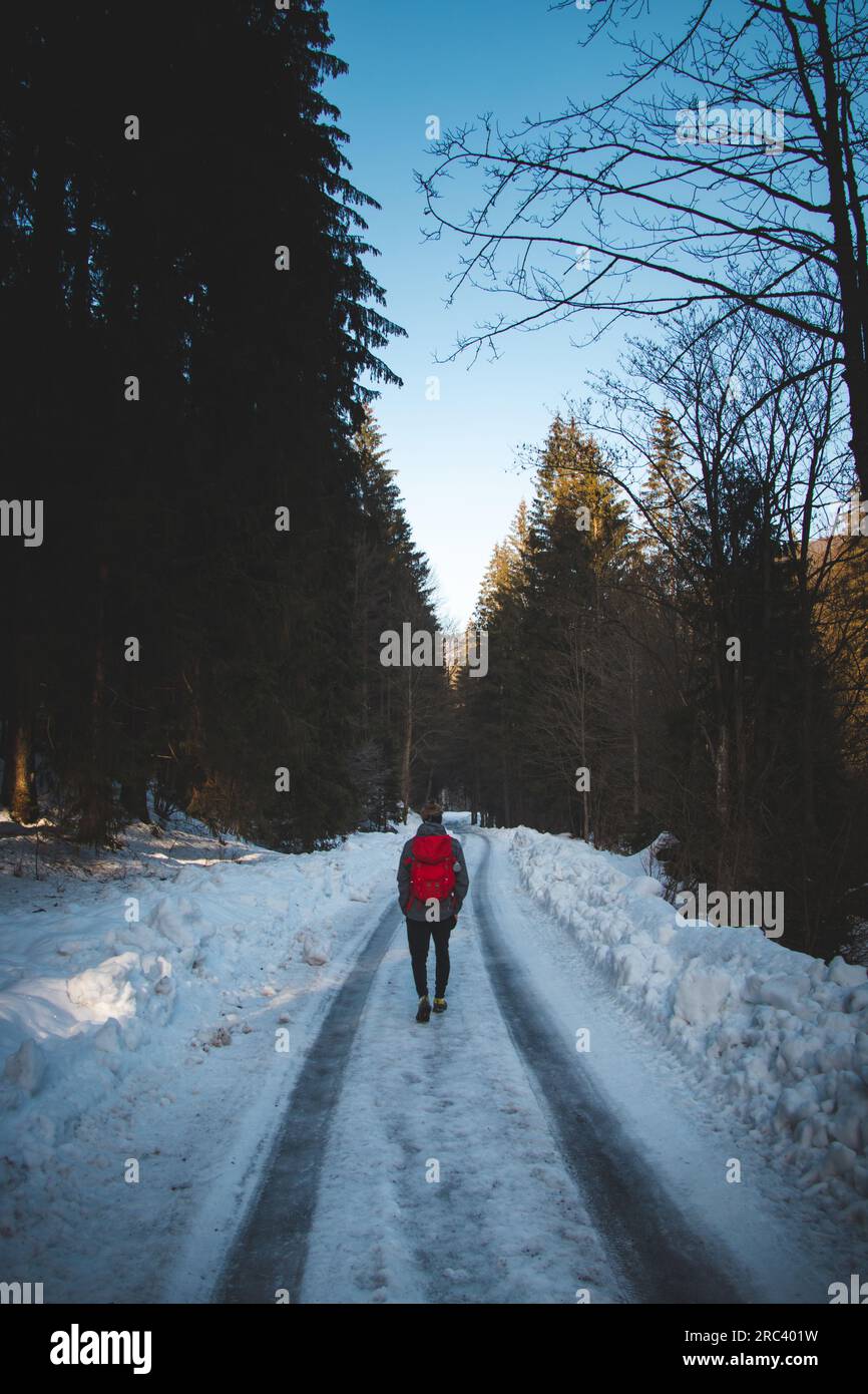 Man standing between two trees hi-res stock photography and images - Alamy