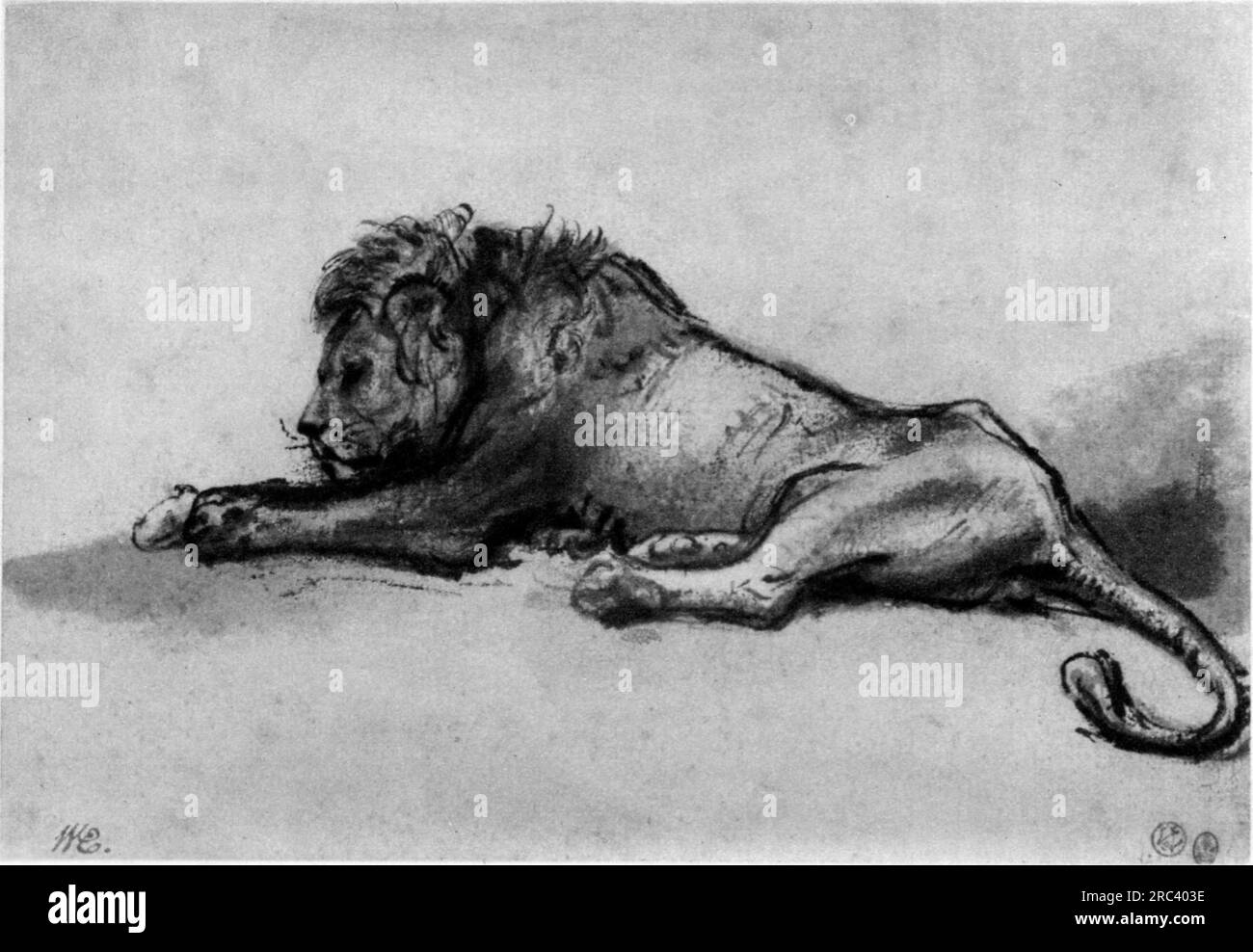 Lion resting 1652 by Rembrandt Stock Photo