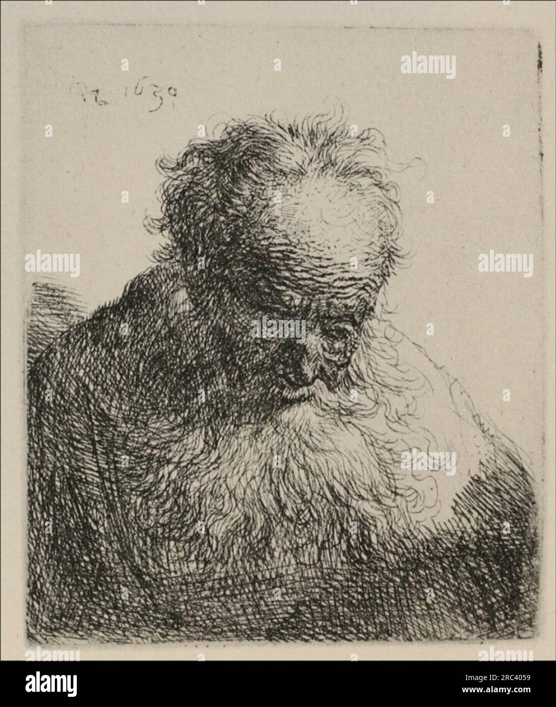 An Old Man with a Large Beard 1630 by Rembrandt Stock Photo - Alamy