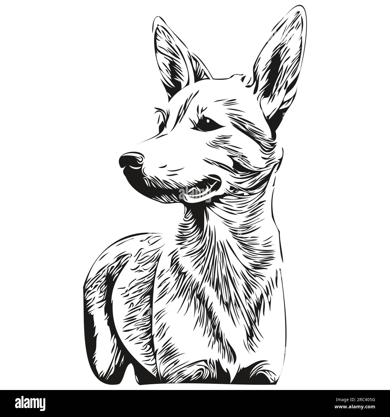 Basenji dog t shirt print black and white, cute funny outline drawing ...
