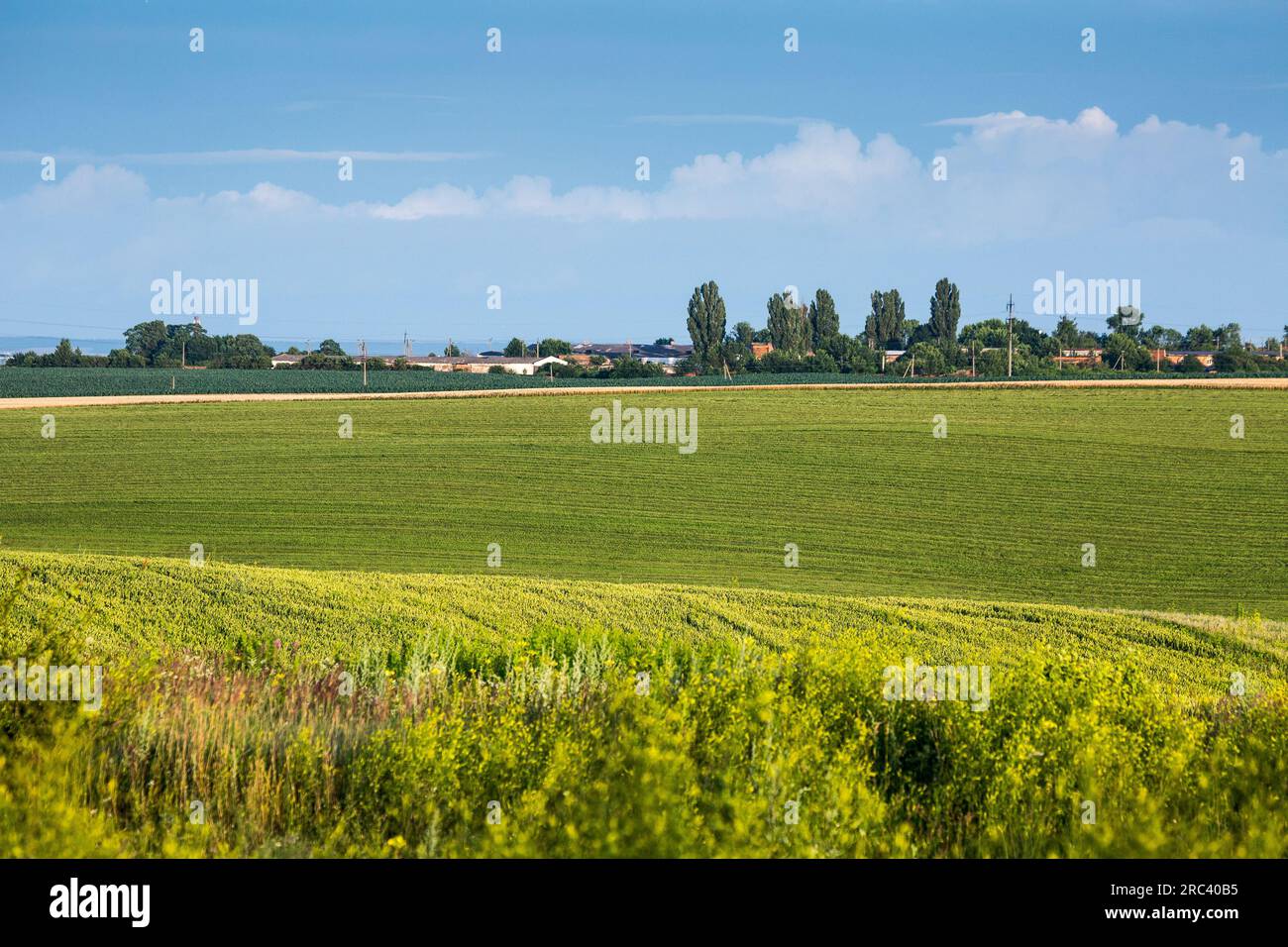 Endless farm fields on the slopes of the hills are sown with various crops. Peaceful rural landscape. Summer evening in the western Ukraine near Rivne Stock Photo